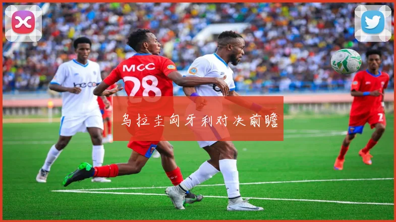 乌拉圭匈牙利对决前瞻