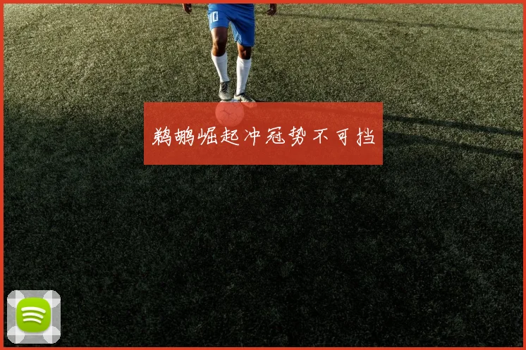 鹈鹕崛起冲冠势不可挡