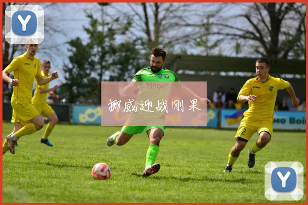 挪威迎战刚果