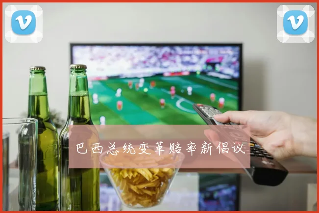 巴西总统变革赔率新倡议