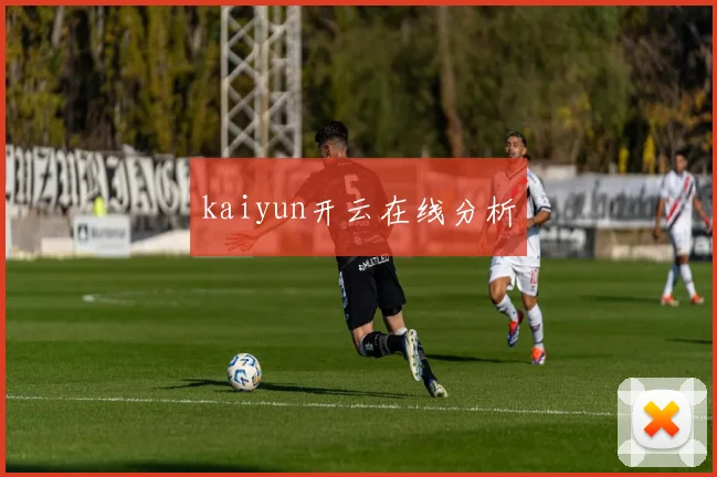 kaiyun开云在线分析