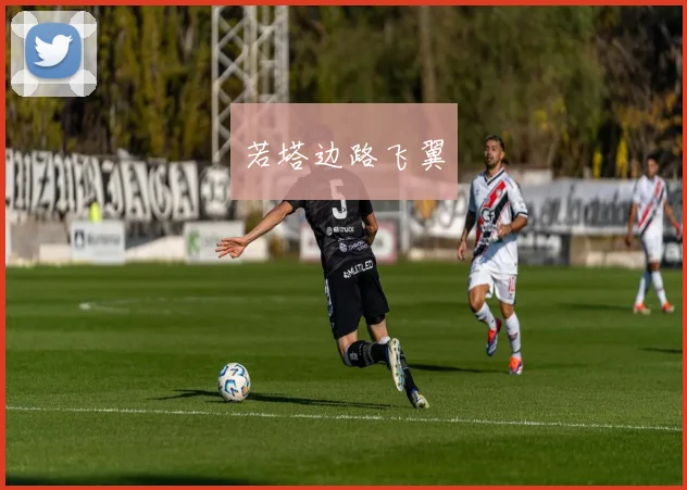 若塔边路飞翼