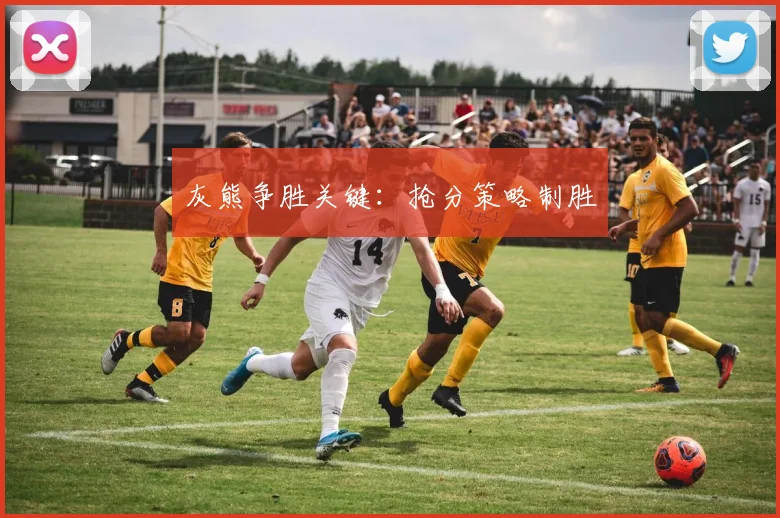 灰熊争胜关键：抢分策略制胜