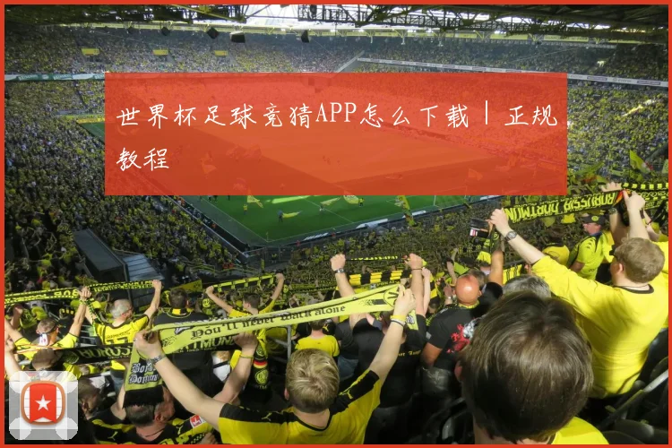 世界杯足球竞猜APP怎么下载｜正规教程