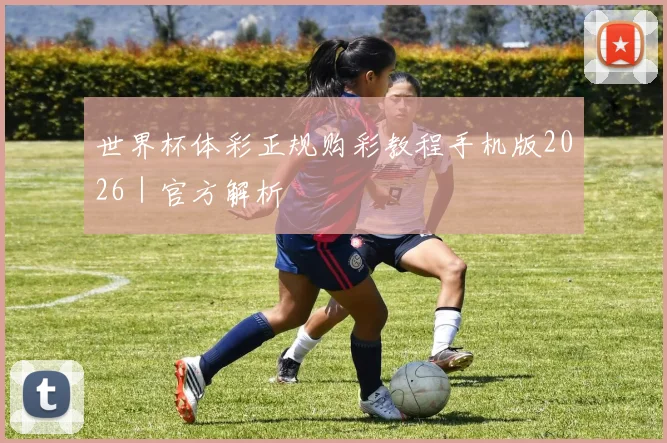 世界杯体彩正规购彩教程手机版2026｜官方解析