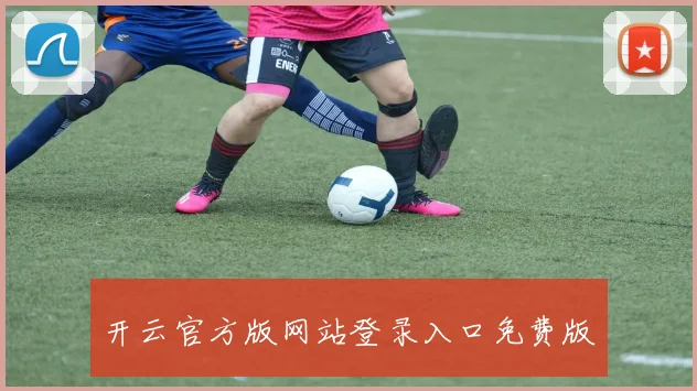 开云官方版网站登录入口免费版